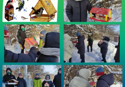 Экологическая акция «Покормите резвых птичек».